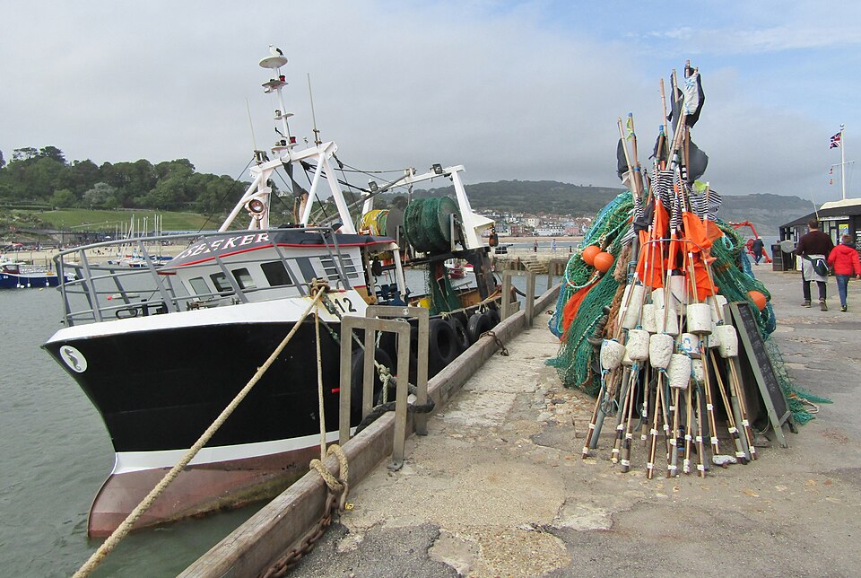 Lyme Regis Harbour geograph.org.uk 6675377