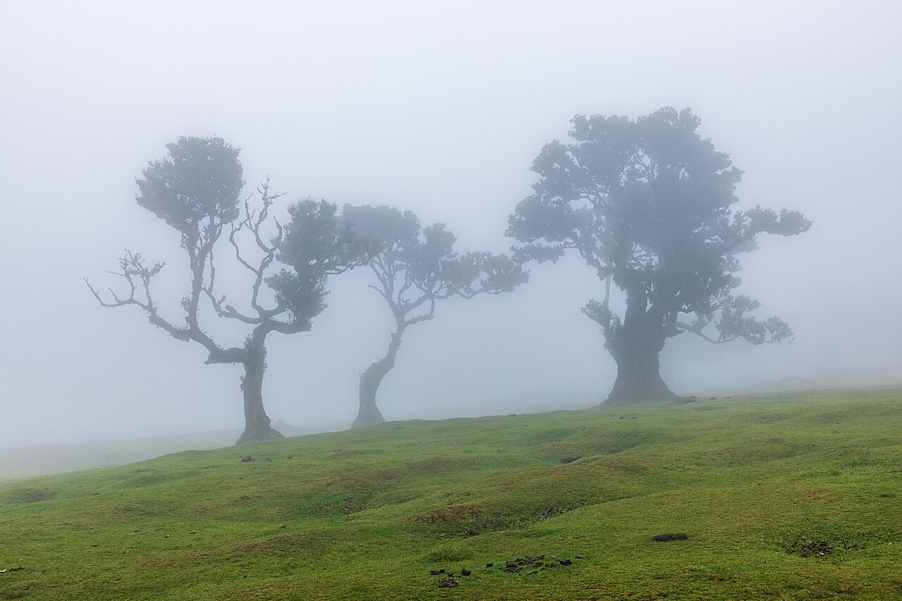 Madeira