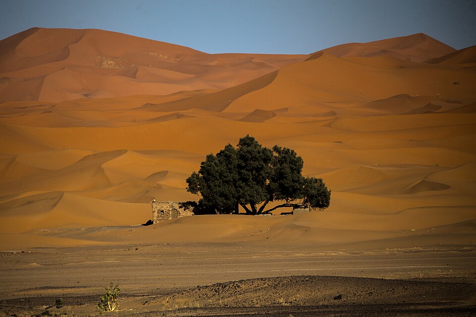 Brahim FARAJI SAHARA is coming Merzouga Morocco الصحراء قادمة مرزوكة المغرب