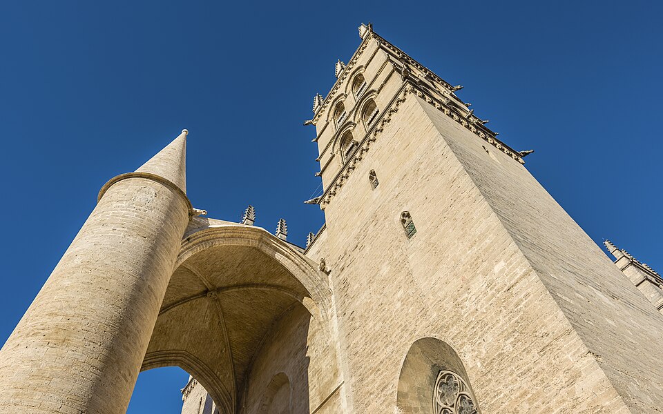 Cathédrale Saint Pierre de Montpellier 02