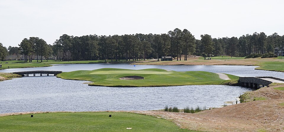 The Wizard Golf Club No 17