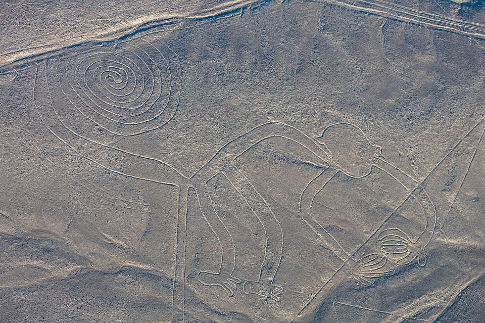 Líneas de Nazca, Nazca, Perú, 2015 07 29, DD 49