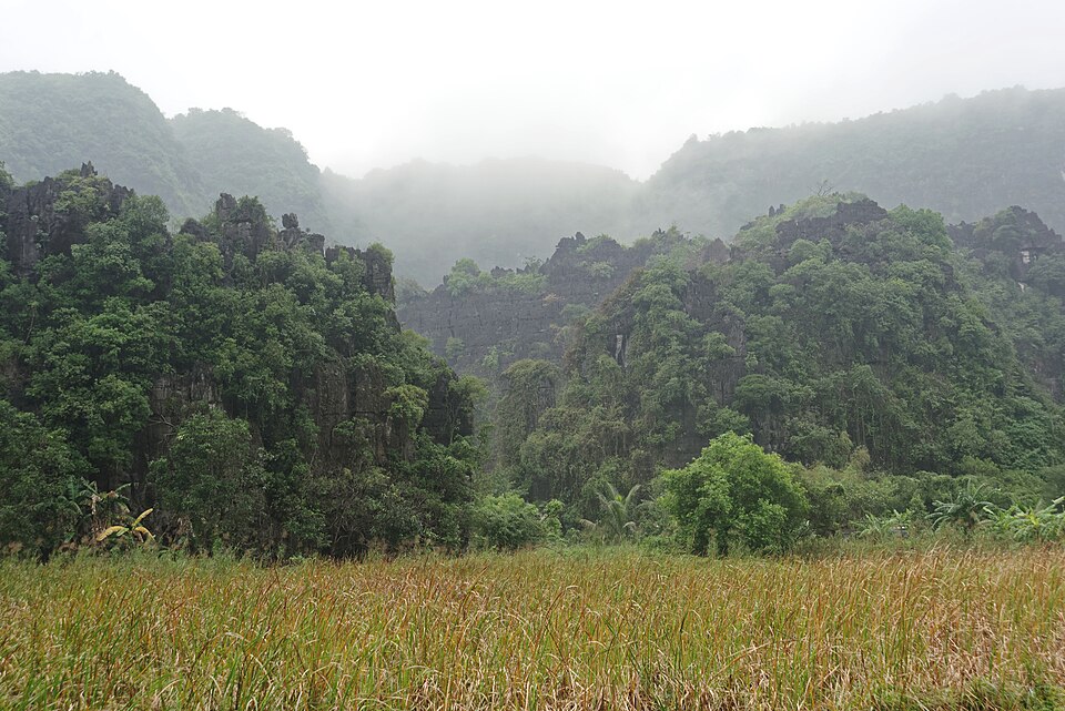 Ninh Hải, Hoa Lư, Ninh Bình, Vietnam, 20240203 1214 5668