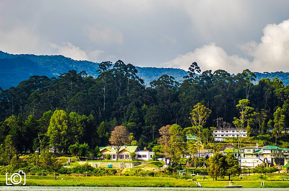 Nuwara Eliya Gregory Lake