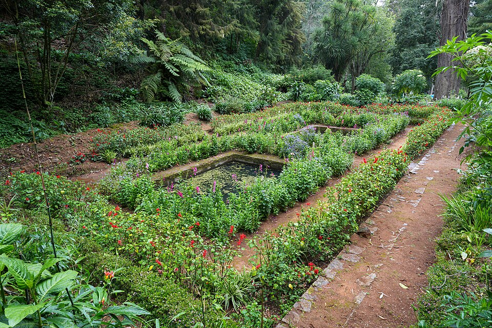 Sunken Garden Botanical Garden Ooty Aug26 A7CR 12465