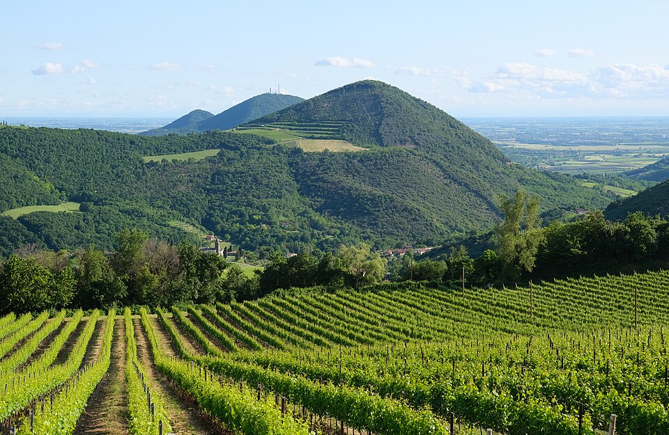 Parco Regionale dei Colli Euganei 2