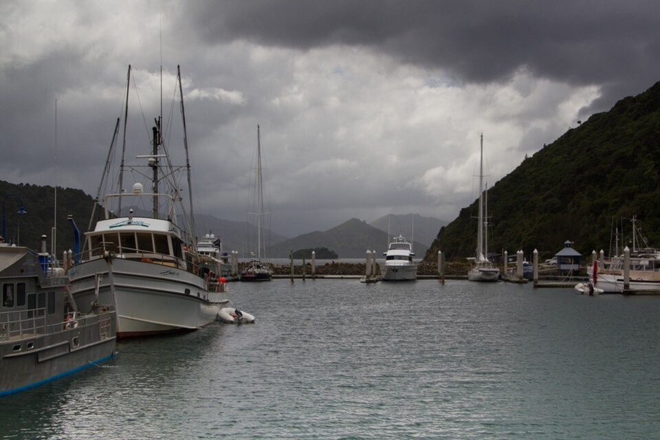Picton New Zealand 5667