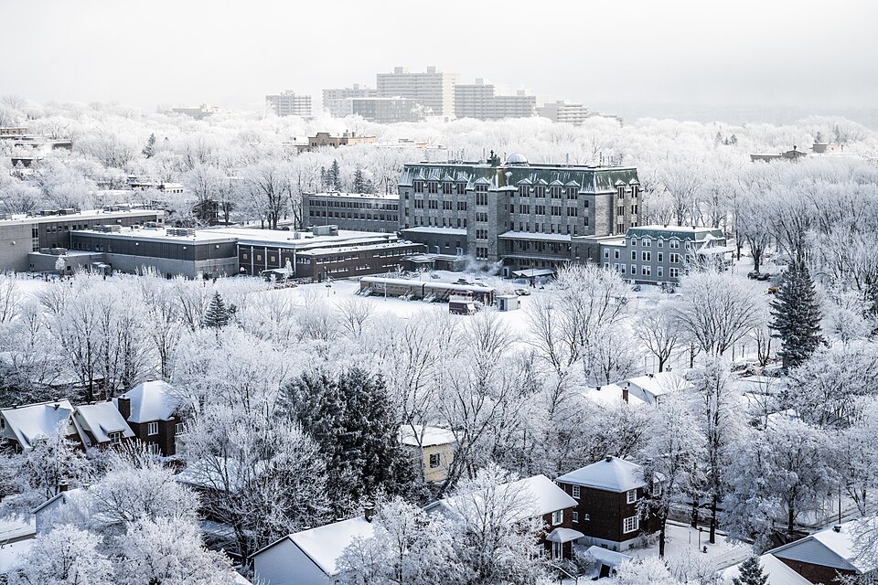 Snow covered Quebec City skyline in fog