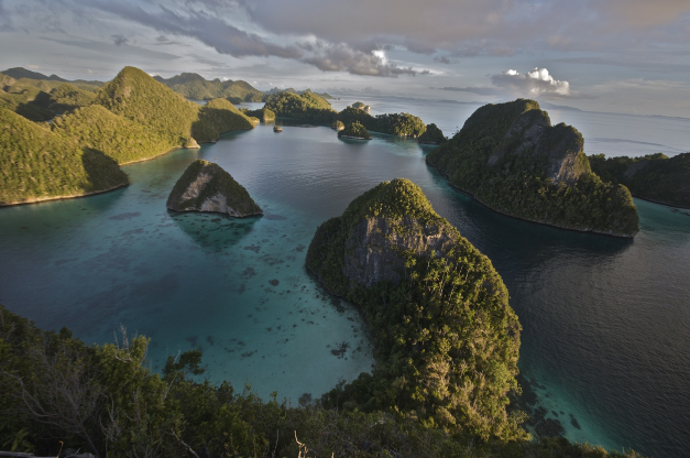 Raja Ampat Islands journal.pbio.1001457.g001