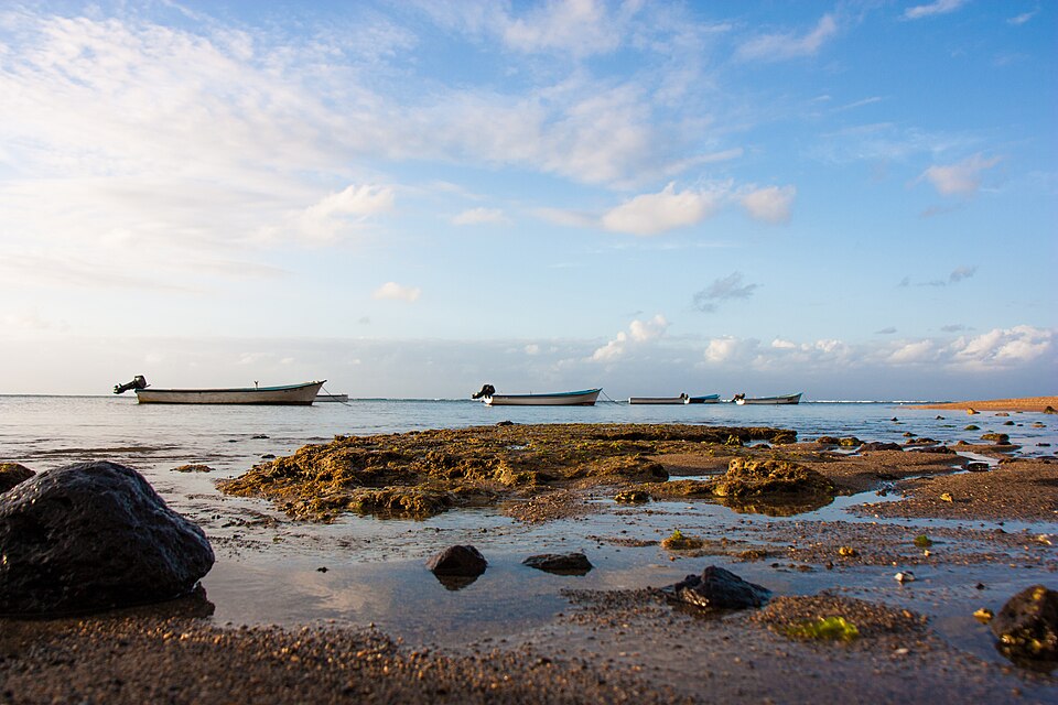 Rodrigues