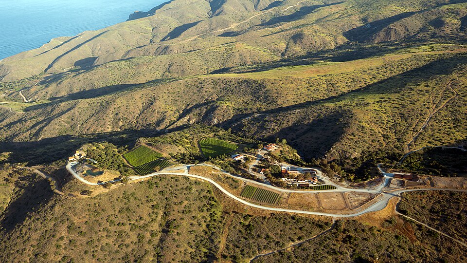 Rusack Vineyards Santa Catalina Island Don Ramey Logan