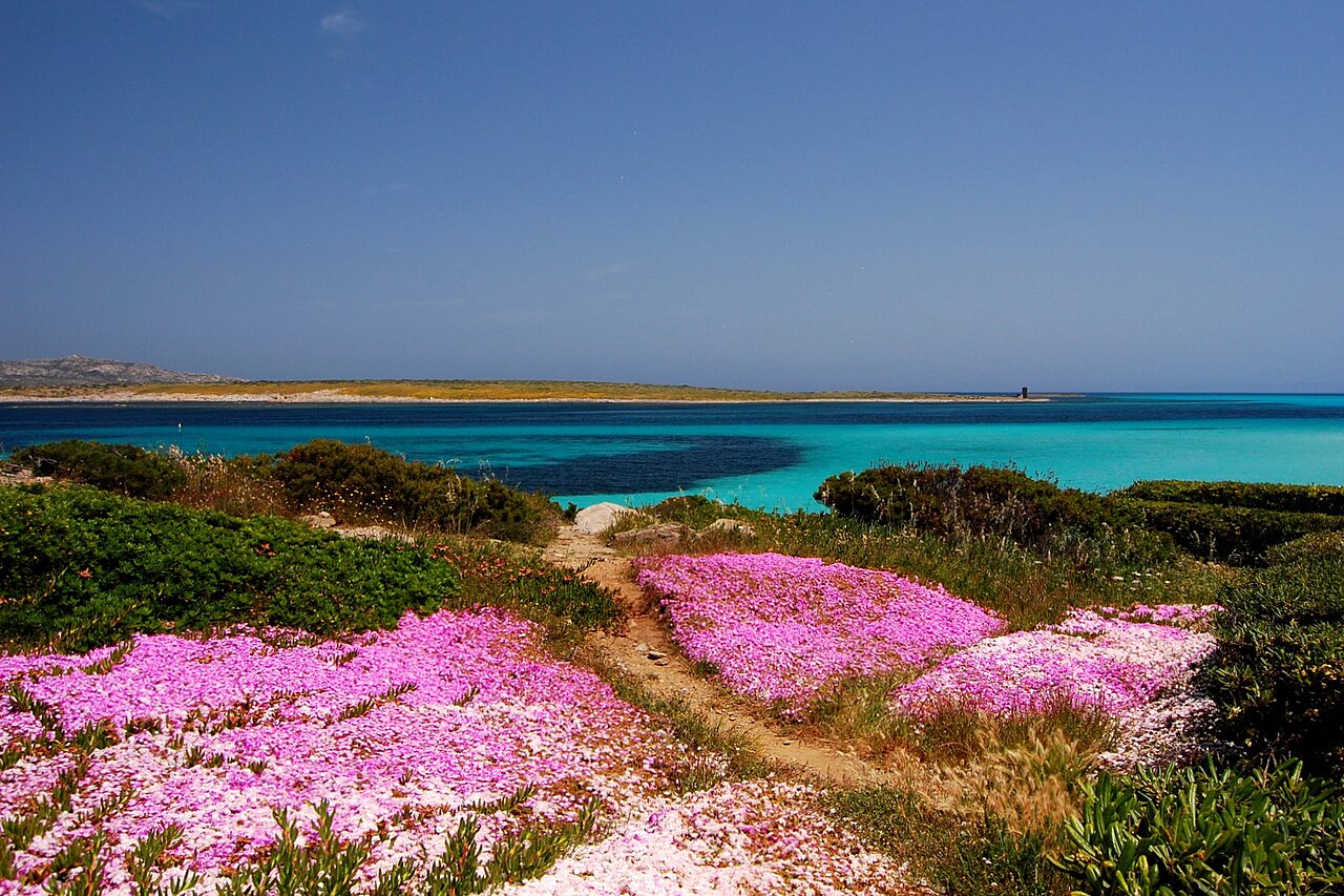 Sardinia