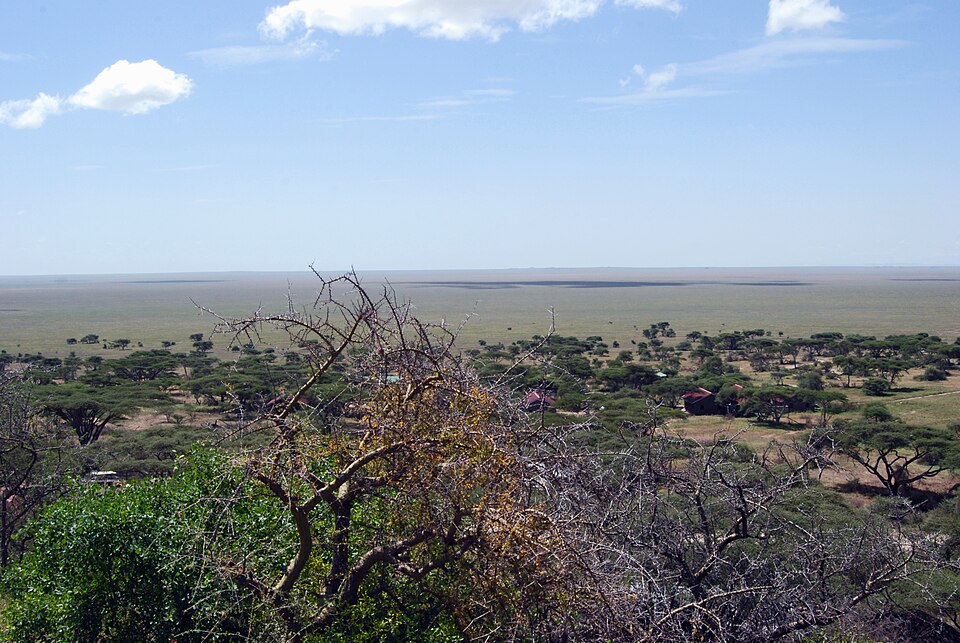 Eastern Serengeti 2012 05 31 2828 (7522638524)