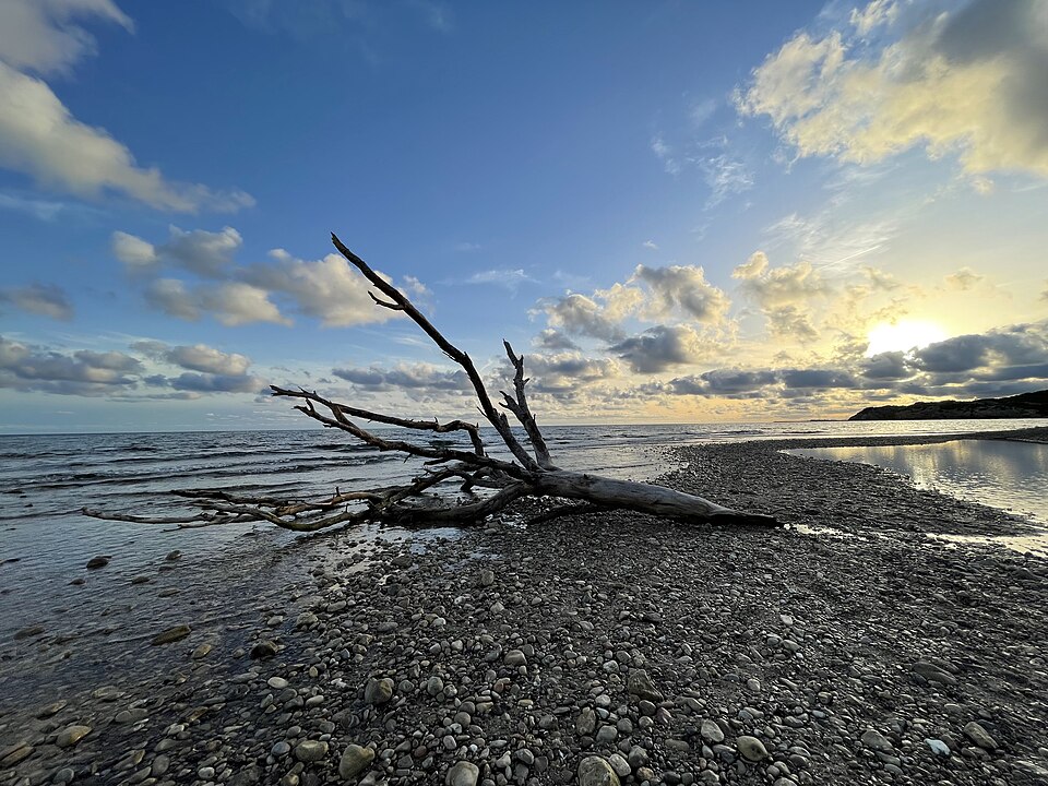 Beach Driftwood Sitges Spain Sunset