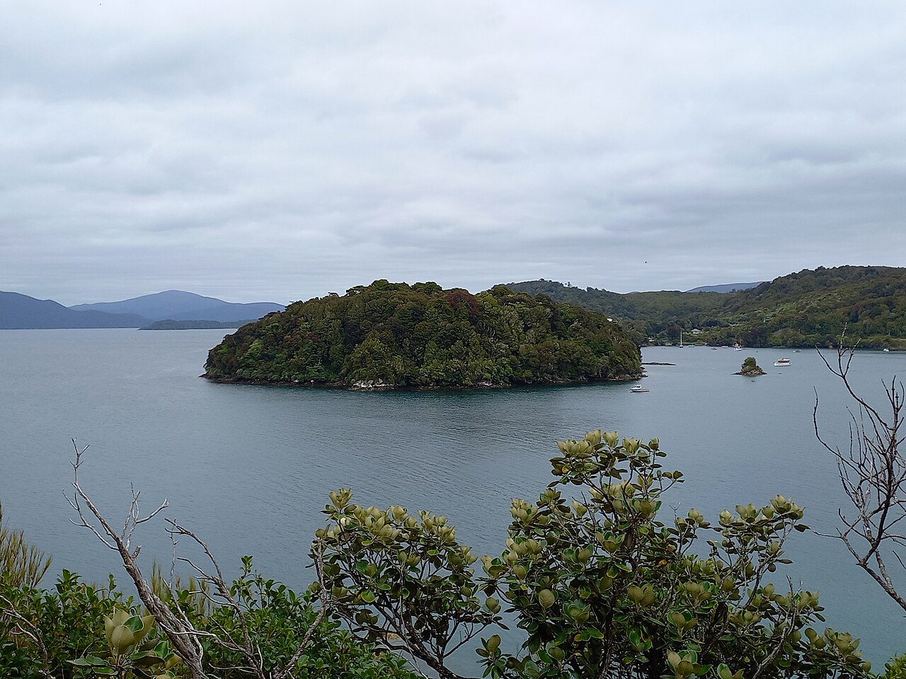 Stewart Island