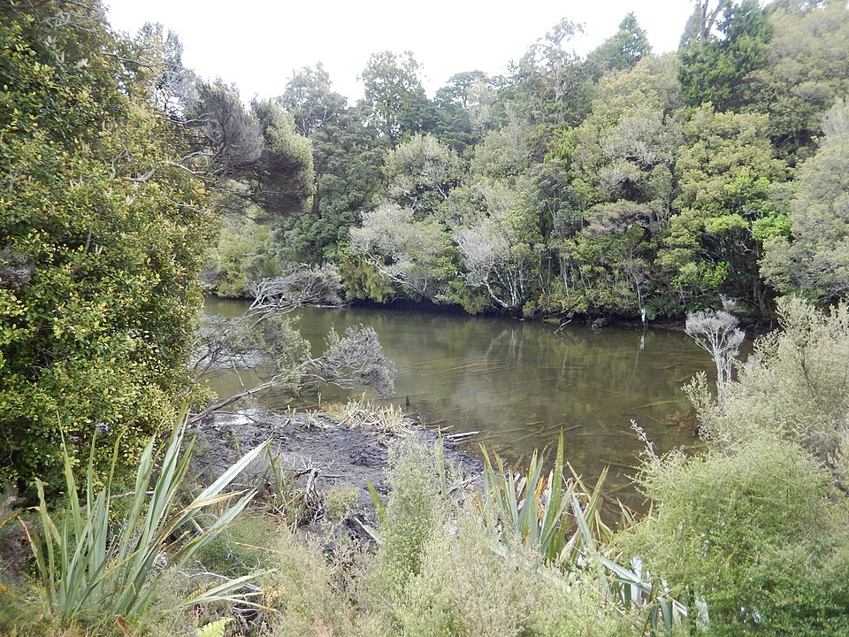 Stewart Island Ryans Creek