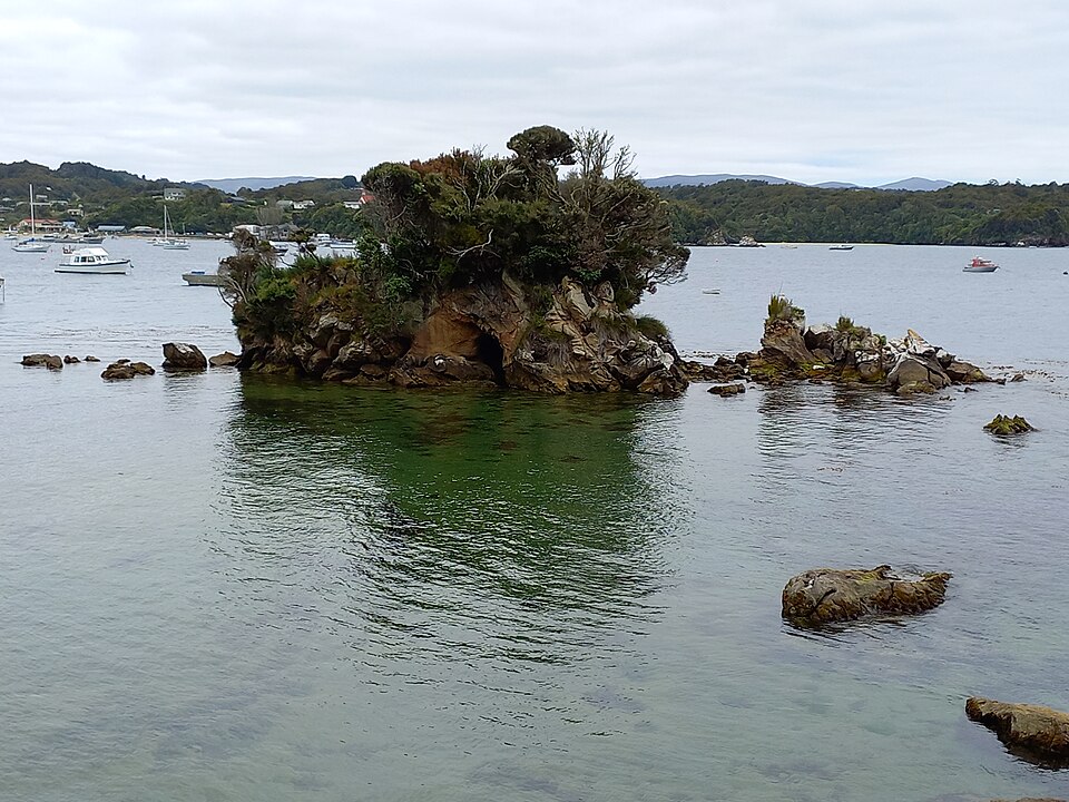 Lonnekers Nugget Stewart Island
