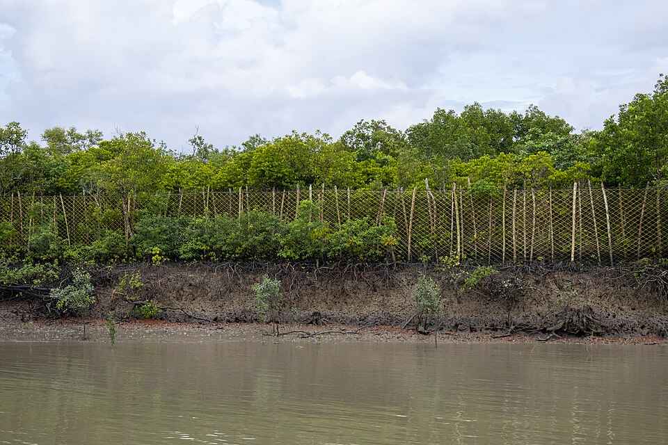 Nylon net fence along the edge of Sundarban, West Bengal, India 13