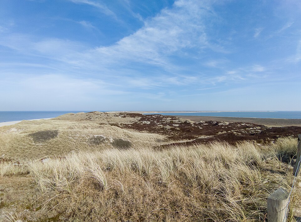 Ellenbogen, List auf Sylt (IMG 20220313 114051)