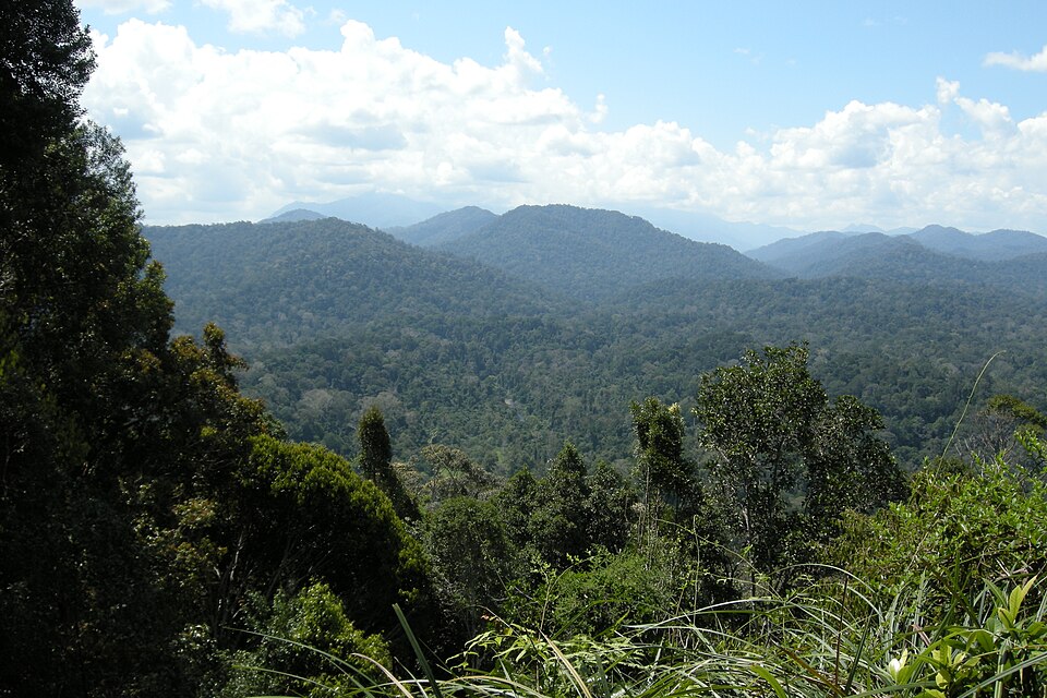 Taman Negara, Malaysia, Panoramic view
