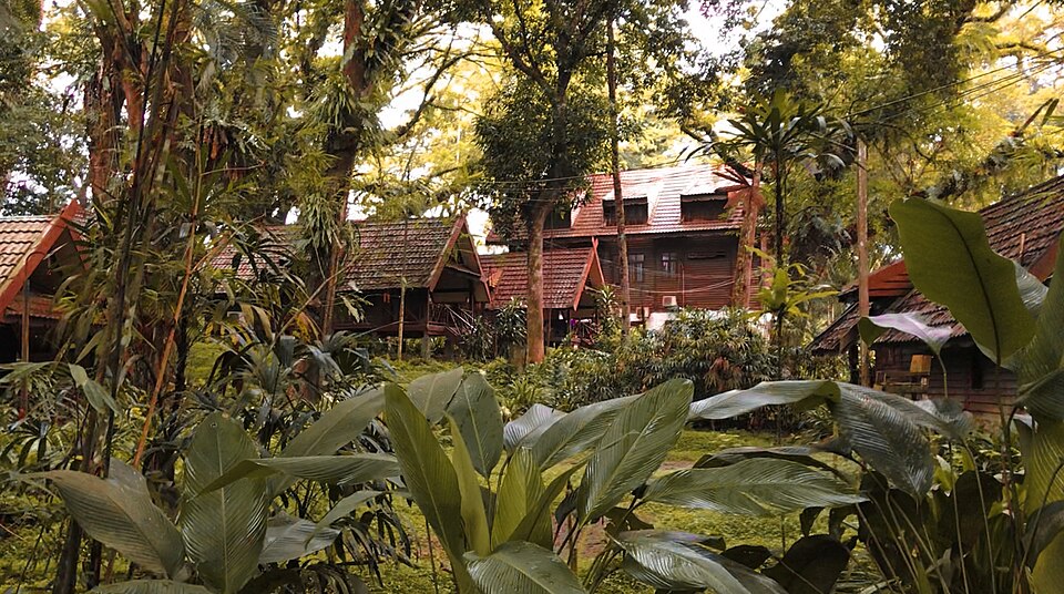 Taman Negara Pahang