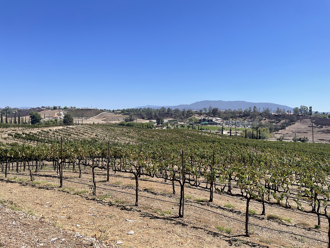 Temecula