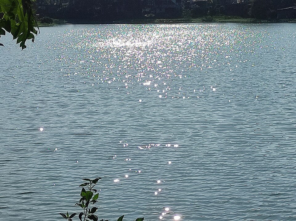 Beautiful lake in Tezpur town