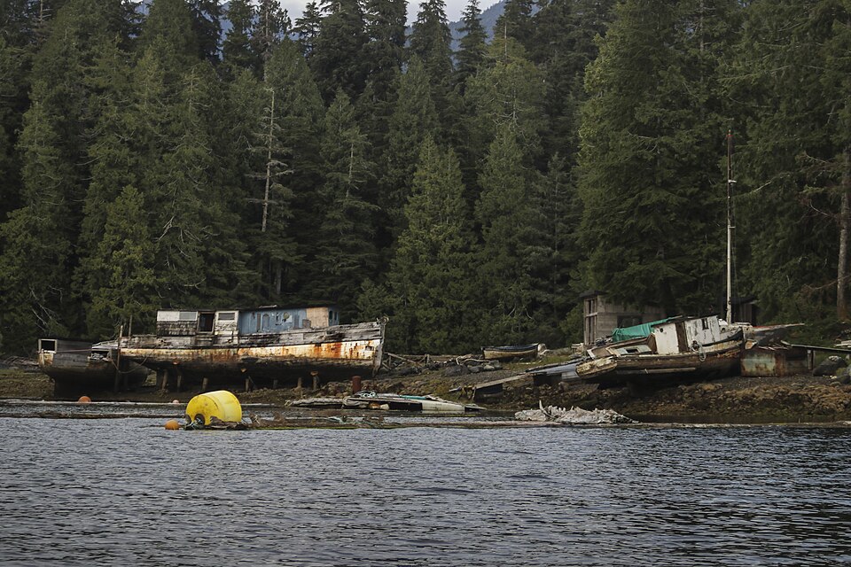 Tofino British Columbia Canada 11