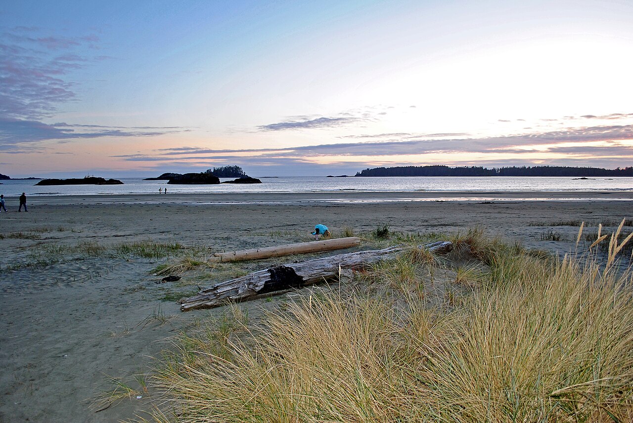 Tofino
