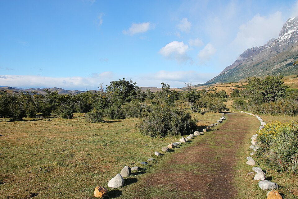 Parque nacional Torres del Paine, 2019 0387