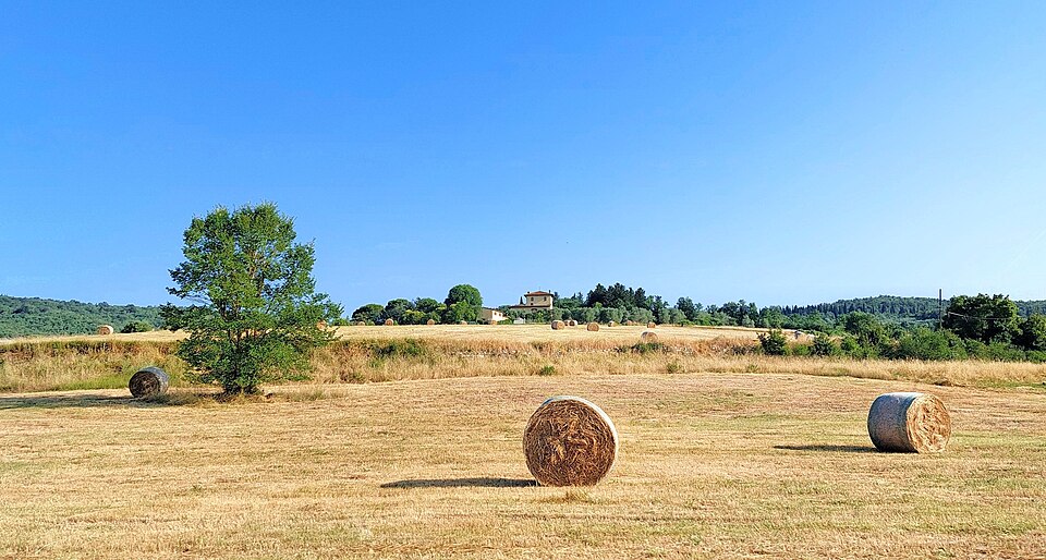 Rotoloni nella campagna di Rignano sull'Arno (Tuscany)