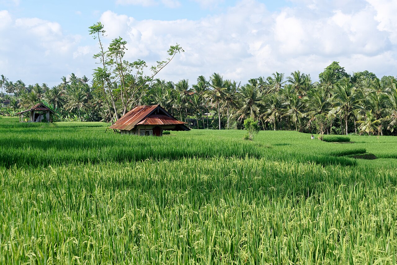 Ubud