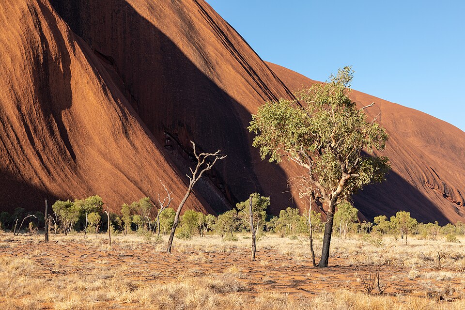 Petermann Ranges (AU), Uluru Kata Tjuta National Park, Uluru, Kuniya Walk 2019 3674