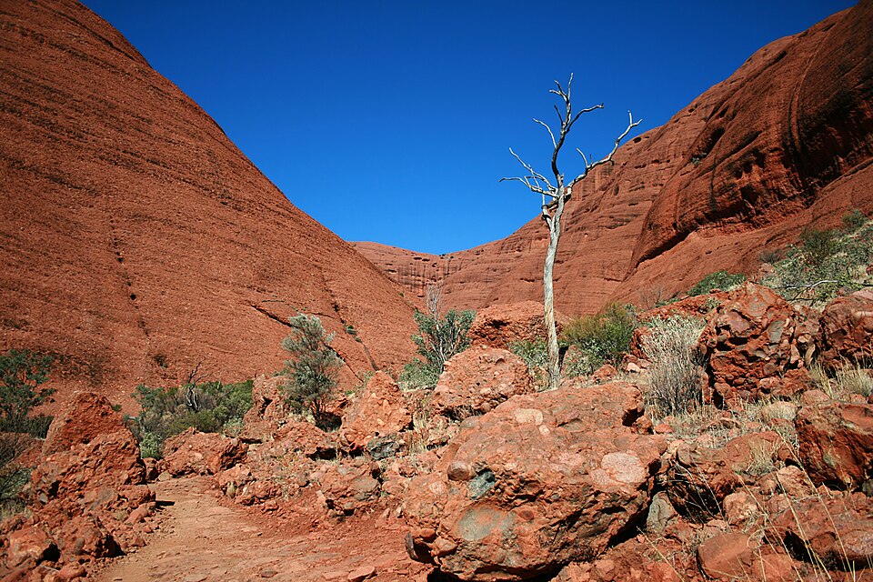 KataTjuta ValleyOfTheWinds