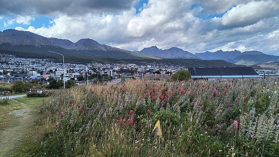 Canal Beagle, Ushuaia, Tierra del Fuego, Argentina, 2026 (78429)