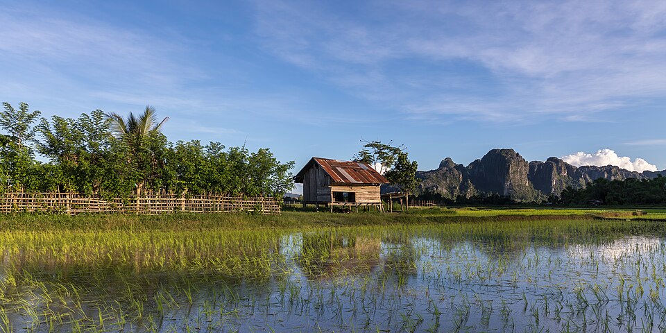 Wooden hut fence mountains and blue sky in the green rice fields of Vang Vieng in Laos