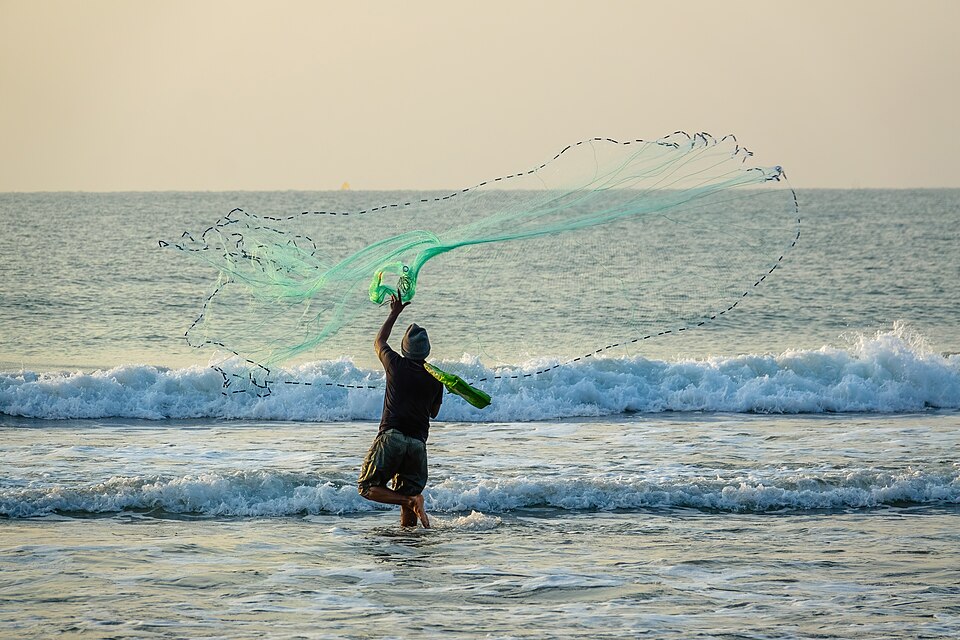 The beach fishing