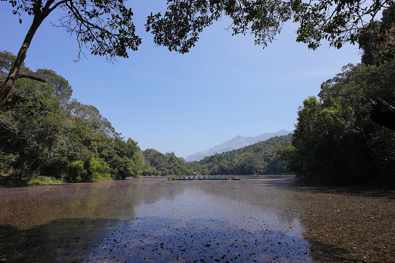 Wayanad