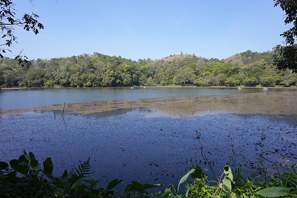 Wayanad Pookode Lake 1
