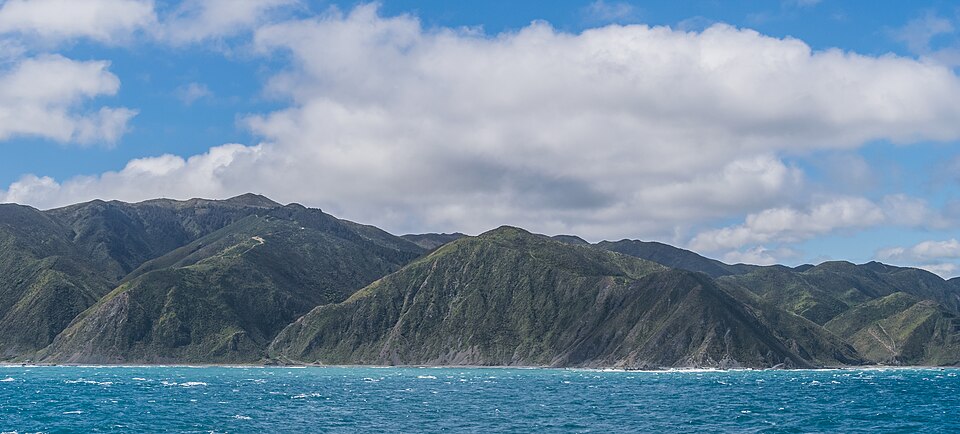 South coast of Wellington 12