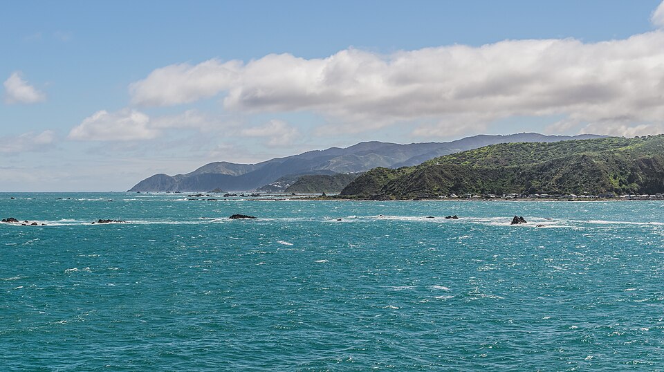 South coast of Wellington 04