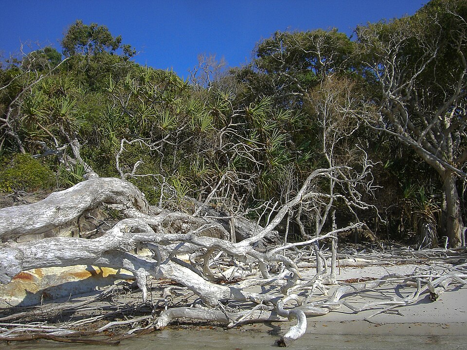 Whitsunday Islands National Park (134205379)