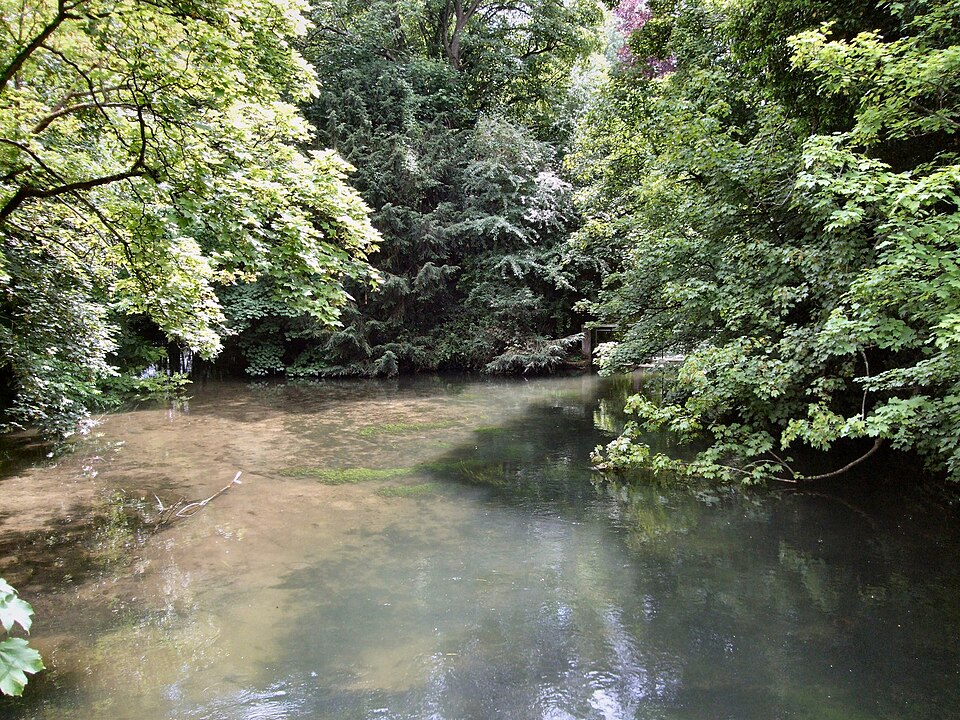 River Itchen Winchester geograph.org.uk 2490047
