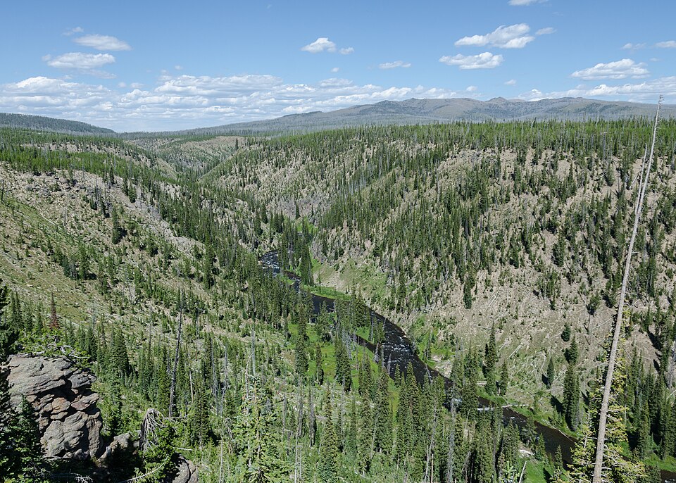 Lewis River, Yellowstone National Park, looking towards north 20110818 3