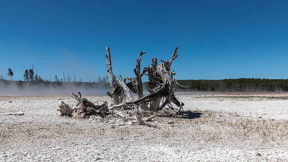 Yellowstone National Park (WY, USA), Lower Geyser Basin 2022 2401