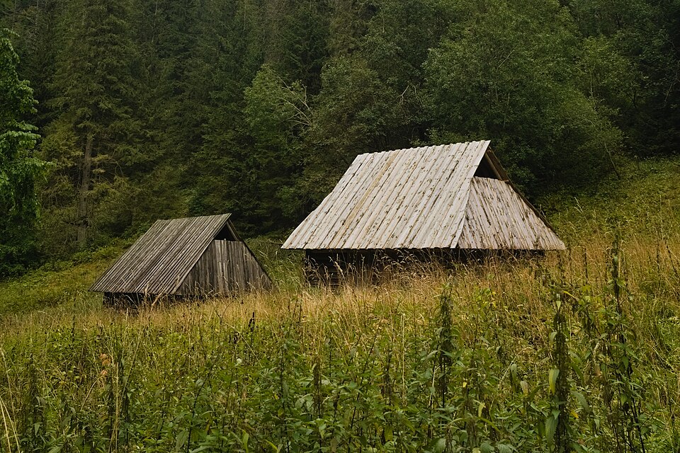 Zakopane Polana Strazyska huts 2021