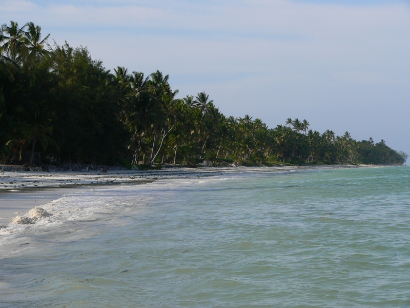 High tide, Bwejuu, Zanzibar