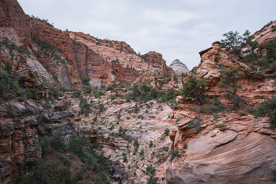 Cross bedded Navajo Sandstone, Canyon Overlook Trail, Zion National Park, Utah