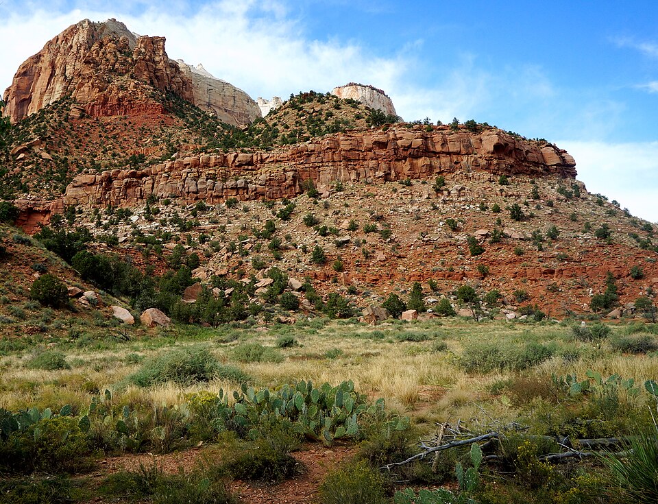 Navajo Sandstone formations in Zion National Park, Utah. (USA 2016)